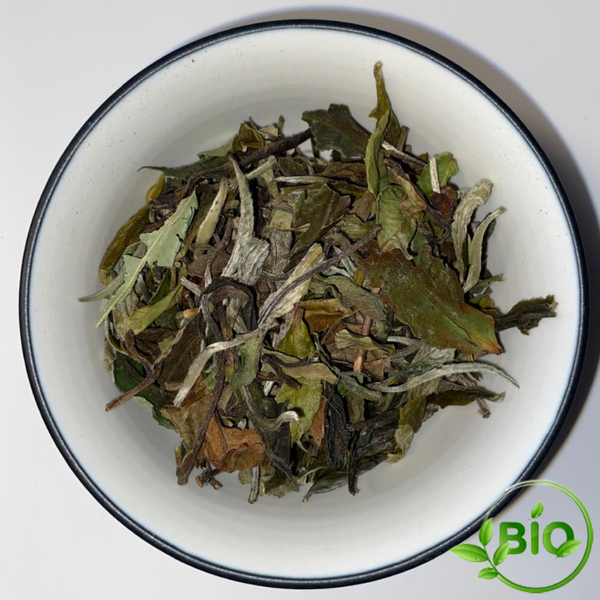 Thé blanc de Chine - Pai Mu Tan - BIO