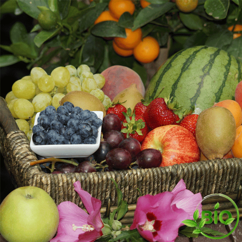 Infusion - Fruits d'été - BIO - 70g