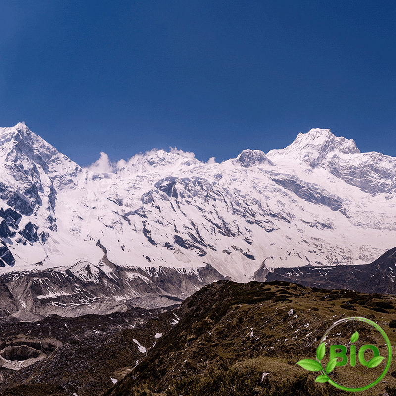 Thé noir Himalaya - Sikkim Temi FTGFOPTYP - BIO