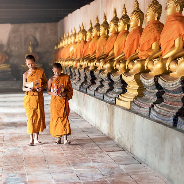 Thé du monde - Tibet - Thé des moines